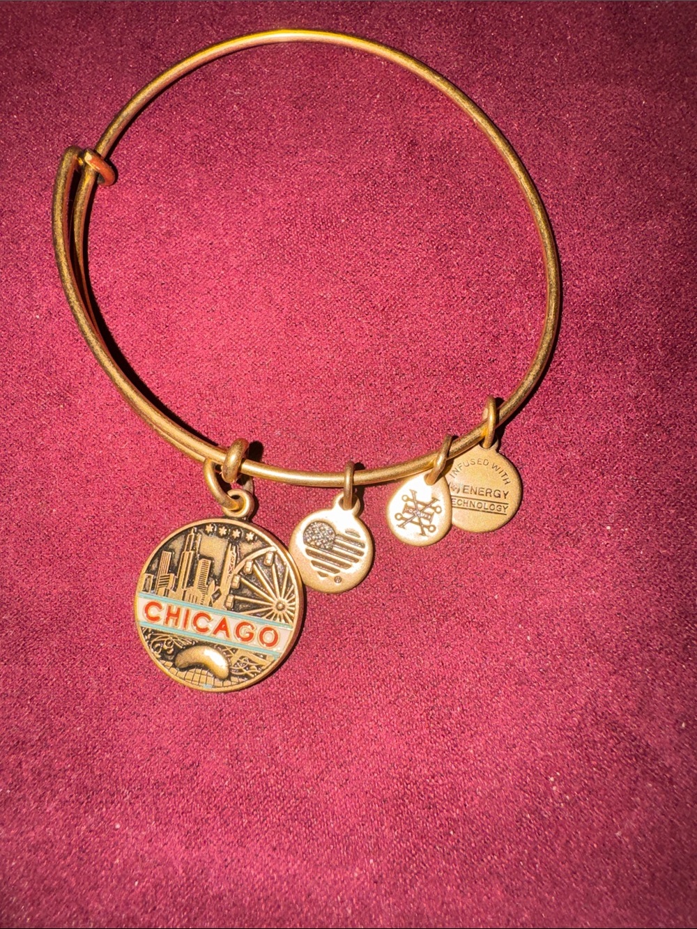 Alex and Ani Gold Chicago "City in a Garden" Charm Bangle